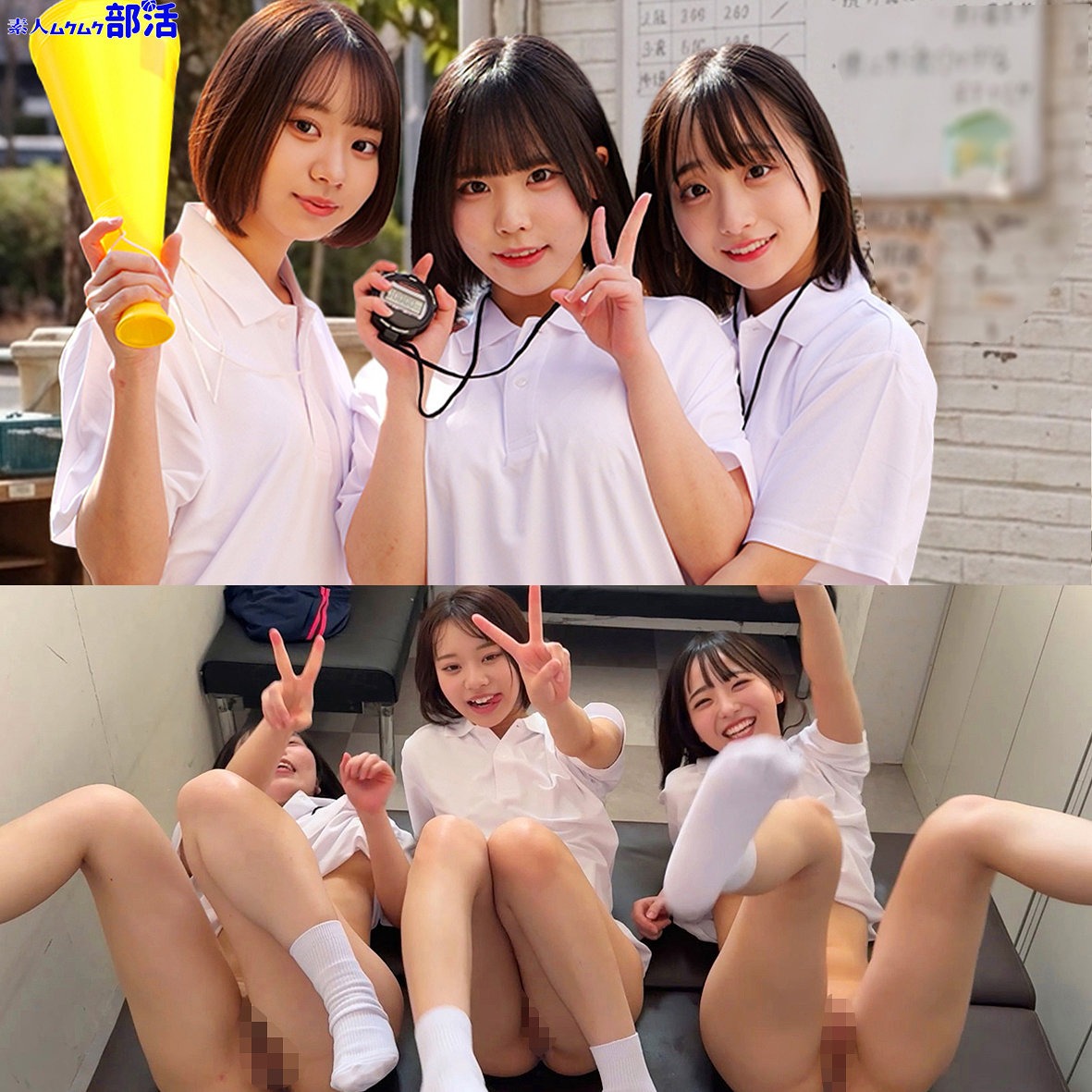 無料版