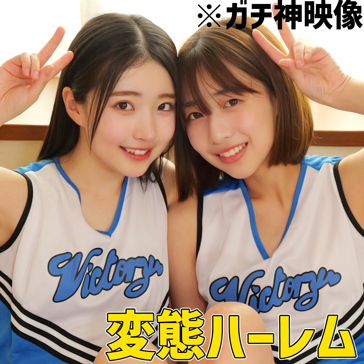 無料版